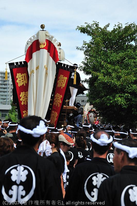 NIKON D700 - 24.0-120.0 mm f/3.5-5.6