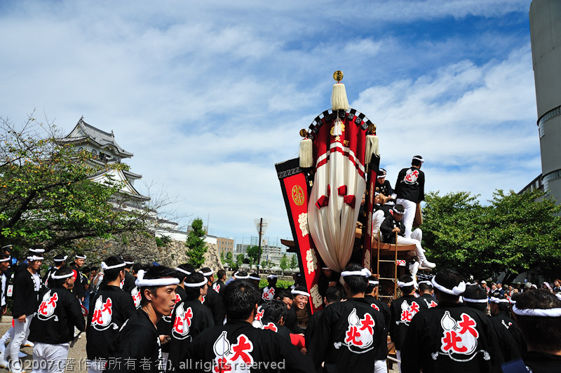 NIKON D700 - 24.0-120.0 mm f/3.5-5.6