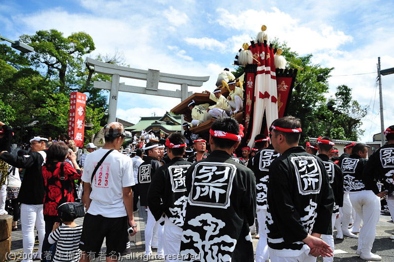 NIKON D700 - 24.0-120.0 mm f/3.5-5.6