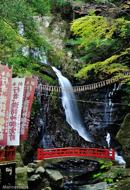 NIKON D3 - 70.0-200.0 mm f/2.8