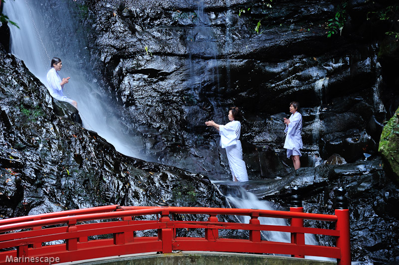 NIKON D3 - 70.0-200.0 mm f/2.8