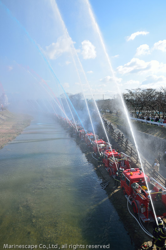 NIKON D7000 - 16.0-85.0 mm f/3.5-5.6