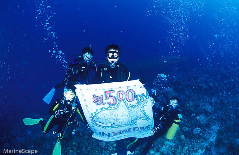 15　500ダイブ記念　ランギリマディバル　モルジブ