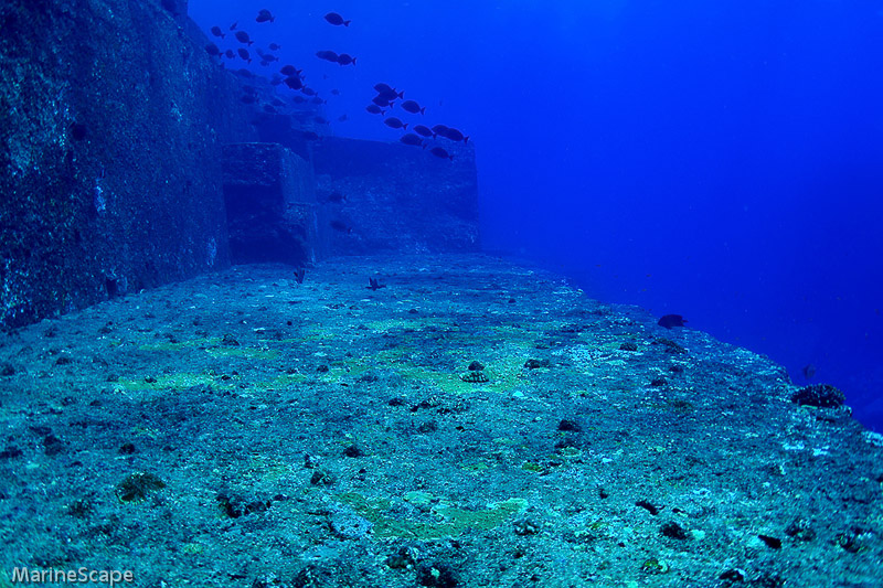 18　メインテラス　海底遺跡・与那国