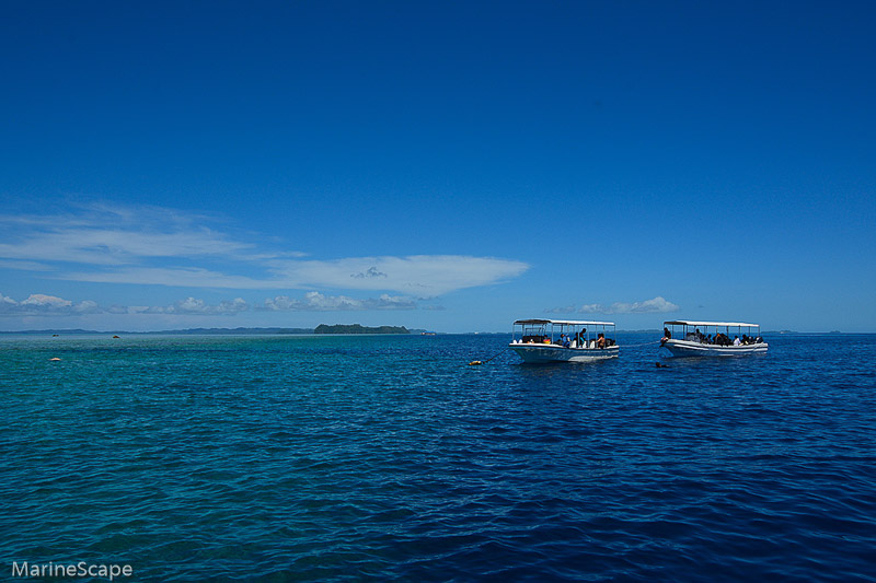 2　パラオの海　Bule Corner